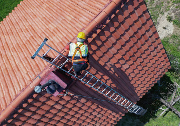 Best Asphalt Shingle Roofing  in Pelican Bay, TX